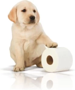 Page Toiletpapier - 32 Rollen - Kussenzacht Wc Papier (3-laags) - Voordeelverpakking -Winkel Voor Huishoudelijke Artikelen 1001x1200 1