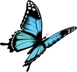 4x Robijn Klein & Krachtig Wasmiddel Black Velvet 1,19 Liter -Winkel Voor Huishoudelijke Artikelen 1200x1118