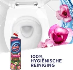 Glorix WC Powergel Toiletreiniger Pink Flower - 6 X 750 Ml - Voordeelverpakking -Winkel Voor Huishoudelijke Artikelen 1200x1147 1