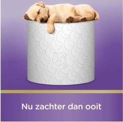 Scottex Toiletpapier - Kussenzacht Design Wc Papier - 84 Rollen -Winkel Voor Huishoudelijke Artikelen 1200x1197 8