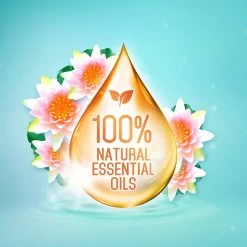 Frisse Reus Lotus Amandel Gel Vloeibaar Wasmiddel - Witte Was - Voordeelverpakking - 120 Wasbeurten -Winkel Voor Huishoudelijke Artikelen 1200x1200 165