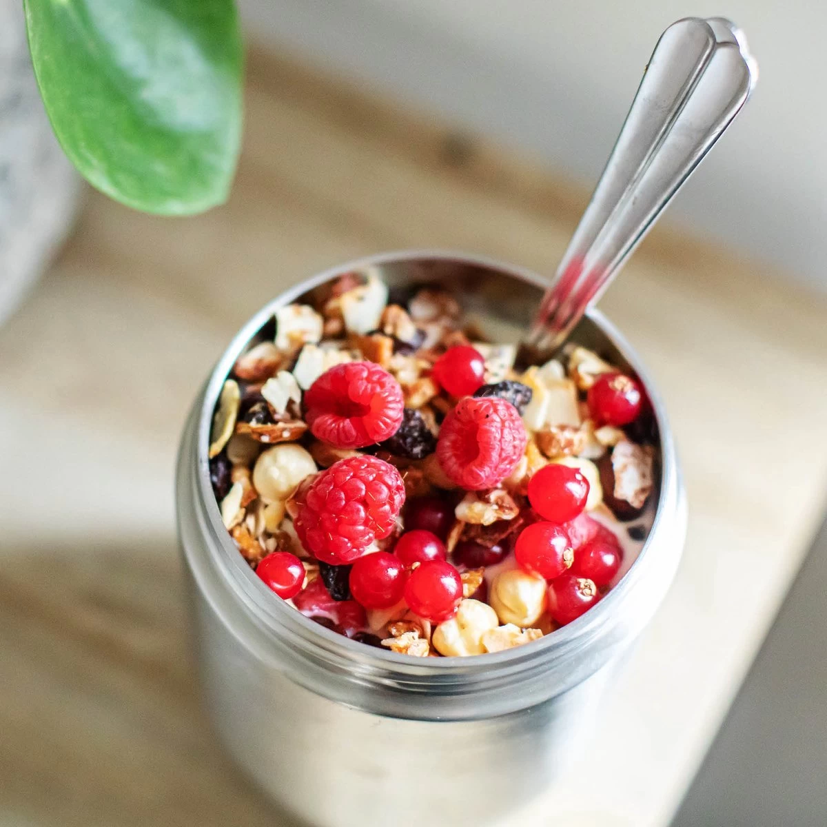 Coninx Thermos Lunchbox - Muesli Beker To Go - Isoleer Lunchpot - Yoghurtbeker To Go - Mueslibeker 840ml (600ml+240ml) - RVS 9 Coninx Thermos Lunchbox - Muesli Beker To Go - Isoleer Lunchpot - Yoghurtbeker To Go - Mueslibeker 840ml (600ml+240ml) - RVS - Afbeelding 8