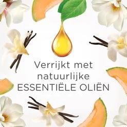 Air Wick Elektrische Luchtverfrisser - Zalige Zomer - 3 Navullingen -Winkel Voor Huishoudelijke Artikelen 1200x1200 472